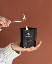 Ambition-Black Currant Scented Candle